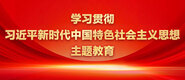 大鸡巴操逼逼小电影免费看学习贯彻习近平新时代中国特色社会主义思想主题教育_fororder_ad-371X160(2)